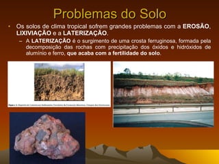 Problemas do Solo Os solos de clima tropical sofrem grandes problemas com a  EROSÃO ,  LIXIVIAÇÃO  e a  LATERIZAÇÃO .  A  LATERIZAÇÃO  é o surgimento de uma crosta ferruginosa, formada pela decomposição das rochas com precipitação dos óxidos e hidróxidos de alumínio e ferro,  que acaba com a fertilidade do solo .  