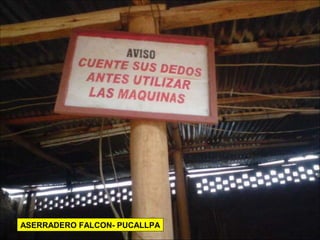 ASERRADERO FALCON- PUCALLPA
 