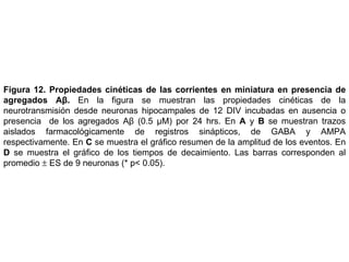 Figura 12.   Propiedades cinéticas de las corrientes en miniatura en presencia de agregados Aβ.  En la figura se muestran las p ropiedades cinéticas de la neurotransmisión desde neuronas hipocampales de 12 DIV  incubadas en ausencia o presencia  de los agregados Aβ (0.5  µM)  por 24 hrs . En  A  y  B  se muestran trazos aislados farmacológicamente de registros sinápticos, de GABA y AMPA respectivamente. En  C  se muestra el gráfico resumen de la amplitud de los eventos. En  D  se muestra el gráfico de los tiempos de decaimiento.  Las barras corresponden al promedio    ES de 9 neuronas (* p< 0.05). 