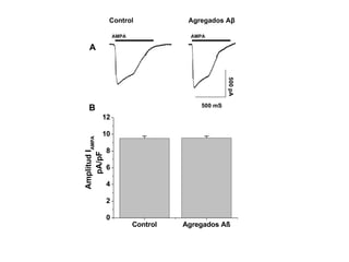 AMPA AMPA 500 pA 500 mS A B Control Agregados   Aβ   
