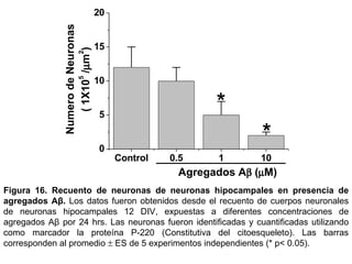 Figura 16.   Recuento de neuronas de neuronas hipocampales en presencia de agregados Aβ.  Los datos fueron obtenidos desde el recuento de cuerpos neuronales de neuronas hipocampales 12 DIV, expuestas a diferentes concentraciones de agregados Aβ por 24 hrs. Las neuronas fueron identificadas y cuantificadas utilizando como marcador la proteína  P-220 (Constitutiva del citoesqueleto).  Las barras corresponden al promedio    ES de 5 experimentos independientes (* p< 0.05). 