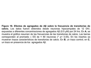 Figura 18.   Efectos de agregados de  Aβ  sobre la frecuencia de transitorias de calcio.  Los datos fueron obtenidos desde neuronas hipocampales de 12 DIV, expuestas a diferentes concentraciones de agregados Aβ  (0.5 µM)  por 24 hrs.  En  A , se muestra el gráfico resumen de las frecuencias de las transitorias de calcio.  Las barras corresponden al promedio    ES  de ≈ 80 neuronas  (* p< 0.05).  En los insertos se muestran trazos característicos de transitorias de calcio. En  B , un trazo control, en  C , un trazo en presencia de los  agregados Aβ.  