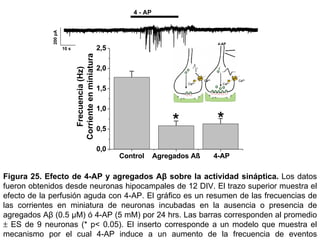 Figura 25.   Efecto de 4-AP y agregados Aβ sobre la actividad sináptica.  Los datos fueron obtenidos desde neuronas hipocampales de 12 DIV. El trazo superior muestra el efecto de la perfusión aguda con 4-AP. El gráfico es un resumen de las frecuencias de las corrientes en miniatura de neuronas incubadas en la ausencia o presencia de agregados Aβ (0.5 µM) ó 4-AP (5 mM) por 24 hrs. Las barras corresponden al promedio    ES de 9 neuronas (* p< 0.05). El inserto corresponde a un modelo que muestra el mecanismo por el cual 4-AP induce a un aumento de la frecuencia de eventos sinápticos. 4-AP inhibe los canales de potasio, despolarizando la membrana y activando los canales de Ca 2+  voltaje dependientes con la subsiguiente liberación de vesículas sinápticas. 4 - AP 200 pA 10 s 4-AP Ca 2+ Ca 2+ Ca 2+ Ca 2+ Ca 2+ Ca 2+ Ca 2+ Ca 2+ 