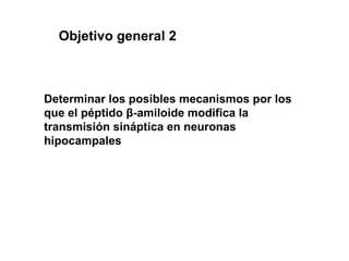 Determinar los posibles mecanismos por los que el péptido  β -amiloide modifica la transmisión sináptica en neuronas hipocampales Objetivo  general 2   