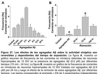 Figura 27.   Los e fectos de los agregados Aβ sobre la   actividad sináptica son reversibles y dependientes del tiempo de exposición .  La figura  A ,   muestra un gráfico resumen de  frecuencia de las corrientes en miniatura obtenidas de  neuronas hipocampales de 12 DIV en la presencia de agregados Aβ (0.5  µ M) por diferentes tiempos (15 min - 24 hrs). La figura  B , muestra un gráfico de la frecuencia de corrientes en miniaturas de neuronas hipocampales de 12 DIV tratadas con agregados Aβ (0.5  µ M) por 24 hrs y luego el efecto de la remoción de estos agregados A β ,  por diferentes tiempos .  Las barras corresponden al promedio    ES de 3 experimentos independientes (* p< 0.05).  A B 