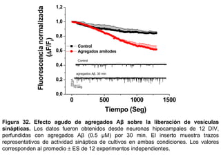 Figura 32.   Efecto agudo de agregados Aβ sobre la liberación de vesículas sinápticas .  Los datos fueron obtenidos desde neuronas hipocampales de 12 DIV, perfundidas con agregados Aβ (0.5 µM) por 30 min. El inserto muestra trazos representativos de actividad sináptica de cultivos en ambas condiciones. Los valores corresponden al promedio    ES de 12 experimentos independientes. Control agregados Aβ , 30 min 200 pA 10 seg 