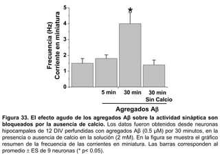 Figura 33.   El efecto agudo de los agregados Aβ sobre la actividad sináptica son bloqueados por la ausencia de calcio.   Los datos fueron obtenidos desde neuronas hipocampales de 12 DIV perfundidas con agregados Aβ (0.5  µM)  por 30 minutos, en la presencia o ausencia de calcio en la solución (2 mM).  En la figura se muestra el gráfico resumen de la frecuencia de las corrientes en miniatura.  Las barras corresponden al promedio    ES de 9 neuronas (* p< 0.05).  