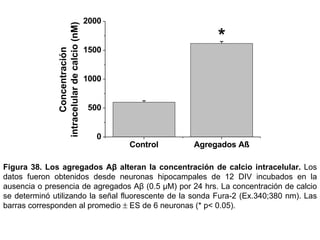 Figura 38.   Los agregados Aβ alteran la concentración de calcio intracelular.   Los datos fueron obtenidos desde neuronas hipocampales de 12 DIV incubados en la ausencia o presencia de agregados Aβ (0.5  µ M) por 24 hrs . La concentración de calcio se determinó utilizando la señal fluorescente de la sonda Fura-2 (Ex.340;380 nm).  Las barras corresponden al promedio    ES de 6 neuronas (* p< 0.05).  