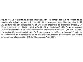 Figura 44.   La entrada de calcio inducida por los agregados Aβ no depende de canales de calcio.  Los datos fueron obtenidos desde neuronas hipocampales de 12 DIV perfundidas con agregados Aβ (1  µM)  en la presencia de diferentes drogas y un cóctel compuesto por, GVIA (1  µM), AGA (1 µM) y nifedipino (3 µM) . En  A , se muestra un trazo representativo de las variaciones de fluorescencia de Fluo-3 (Ex./Em. 490/510 nm) en las diferentes condiciones. En  B , se muestra un gráfico de las cuantificaciones de la variación de fluorescencia en la presencia de distintos tratamientos. Las barras corresponden al promedio    ES de 19 neuronas (* p< 0.05).  