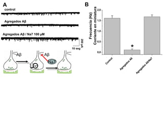 A B control Agregados Aβ  Agregados Aβ  / Na7 100 µM 200 pA 10 seg Aβ Aβ Na7 Ca 2+ 