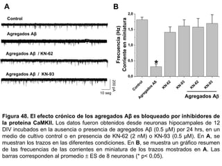 Control Agregados Aβ  Agregados Aβ  / KN-62 Agregados Aβ  /  KN-93 A B Figura 48.   El efecto crónico de los agregados Aβ es bloqueado por inhibidores de la proteína CaMKII.  Los datos fueron obtenidos desde neuronas hipocampales de 12 DIV incubados en la ausencia o presencia de agregados Aβ (0.5 µM) por 24 hrs, en un medio de cultivo control o en presencia de KN-62 (2 nM) o KN-93 (0.5 µM). En  A , se muestran los trazos en las diferentes condiciones. En  B , se muestra un gráfico resumen de las frecuencias de las corrientes en miniatura de los trazos mostrados en  A . Las barras corresponden al promedio    ES de 8 neuronas (* p< 0.05).  200 pA 10 seg 