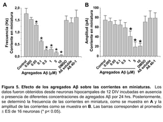 Figura 5.   Efecto de los  agregados Aβ  sobre las corrientes en miniaturas.   Los datos fueron obtenidos desde neuronas hipocampales de 12 DIV incubadas en ausencia o presencia de diferentes concentraciones de agregados Aβ por 24 hrs. Posteriormente, se determinó la frecuencia de las corrientes en miniatura, como se muestra en  A  y la amplitud de las corrientes como se muestra en  B . Las barras corresponden al promedio    ES de 16 neuronas (* p< 0.05). A B 