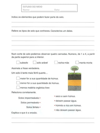 ESTUDO DO MEIO
Nome: __________________ Data: ____________
 