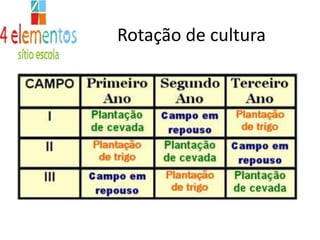 Rotação de cultura