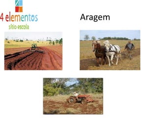Aragem