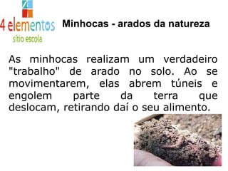 Minhocas - arados da naturezaAs minhocas realizam um verdadeiro "trabalho" de arado no solo. Ao se movimentarem, elas abrem túneis e engolem parte da terra que deslocam, retirando daí o seu alimento.