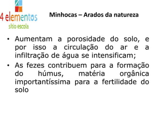 Minhocas – Arados da naturezaAumentam a porosidade do solo, e por isso a circulação do ar e a infiltração de água se intensificam;