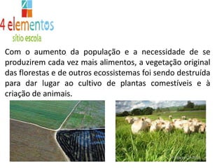 Com o aumento da população e a necessidade de se produzirem cada vez mais alimentos, a vegetação original das florestas e de outros ecossistemas foi sendo destruída para dar lugar ao cultivo de plantas comestíveis e à criação de animais.