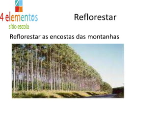 ReflorestarReflorestar as encostas das montanhas