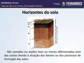 Horizontes do solo
São camadas ou seções mais ou menos diferenciadas uma
das outras devido à atuação dos fatores ou dos processos de
formação dos solos.
GEOGRAFIA, 6º ano
Tipos de Solo e as Formas de Ocupação Humana
Imagem:
Perfil
do
solo
/
Autor:
USDA
employee
/
public
domain
in
the
United
States.
 