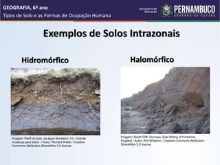 Exemplos de Solos Intrazonais
Hidromórfico Halomórfico
GEOGRAFIA, 6º ano
Tipos de Solo e as Formas de Ocupação Humana
Imagem: Perfil do solo, da água Murieston 1m. Grande
mudança para baixo / Autor: Richard Webb / Creative
Commons Attribution-ShareAlike 2.0 license.
Imagem: South Cliff, Hornsea, East Riding of Yorkshire,
England / Autor: Phil Williams / Creative Commons Attribution-
ShareAlike 2.0 license.
 