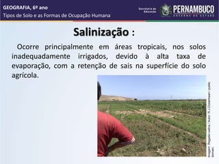 Salinização :
Ocorre principalmente em áreas tropicais, nos solos
inadequadamente irrigados, devido à alta taxa de
evaporação, com a retenção de sais na superfície do solo
agrícola.
GEOGRAFIA, 6º ano
Tipos de Solo e as Formas de Ocupação Humana
Imagem:
Regadio
salina
/
Autor:
R.J.Oosterbaan
/
public
domain.
 
