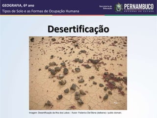 Desertificação
GEOGRAFIA, 6º ano
Tipos de Solo e as Formas de Ocupação Humana
Imagem: Desertificação da Ilha dos Lobos / Autor: Federico Del Bene (delbene) / public domain.
 