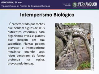 Intemperismo Biológico
É caracterizado por rochas
que perdem alguns de seus
nutrientes essenciais para
organismos vivos e ...