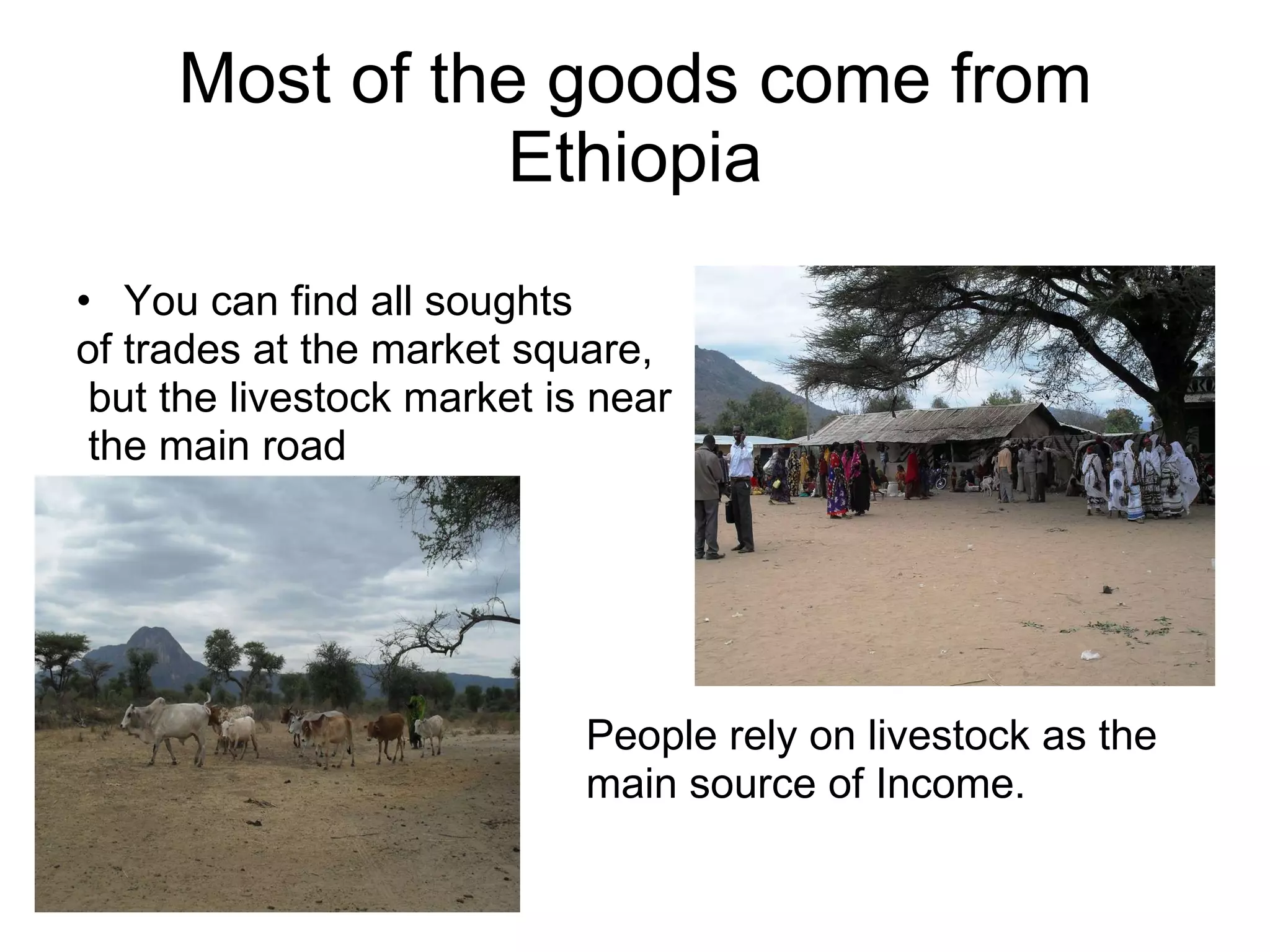 Most of the goods come from Ethiopia You can find all soughts  of trades at the market square, but the livestock market is near the main road  People rely on livestock as the main source of Income. 