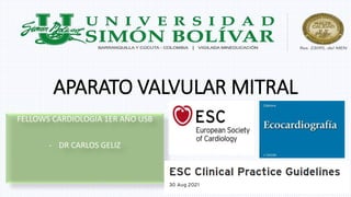 FELLOWS CARDIOLOGIA 1ER AÑO USB
- DR CARLOS GELIZ
APARATO VALVULAR MITRAL
 
