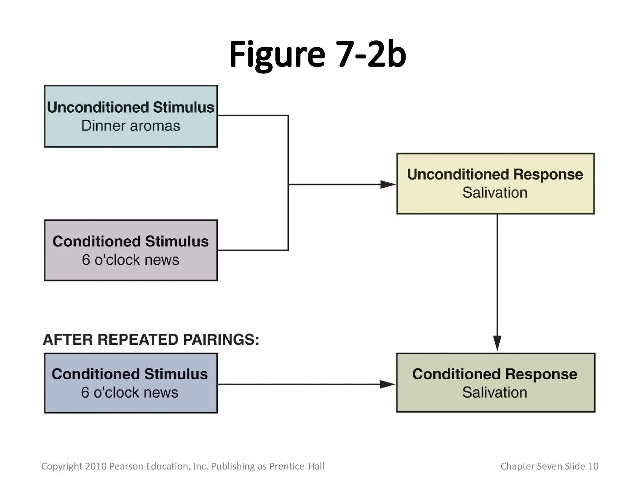 Figure 7-2b
Copyright 2010 Pearson Education, Inc. Publishing as Prentice Hall Chapter Seven Slide 10
 