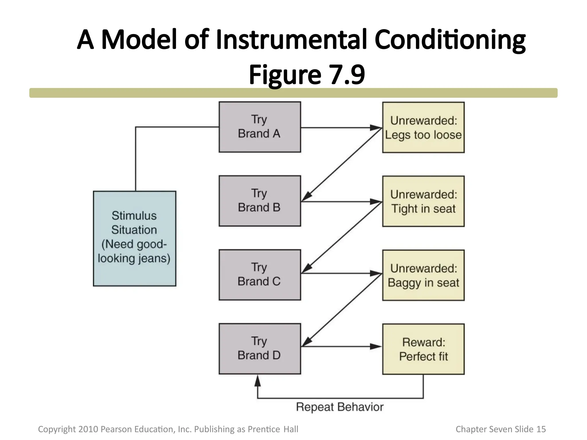 A Model of Instrumental Conditioning
Figure 7.9
Copyright 2010 Pearson Education, Inc. Publishing as Prentice Hall Chapter Seven Slide 15
 