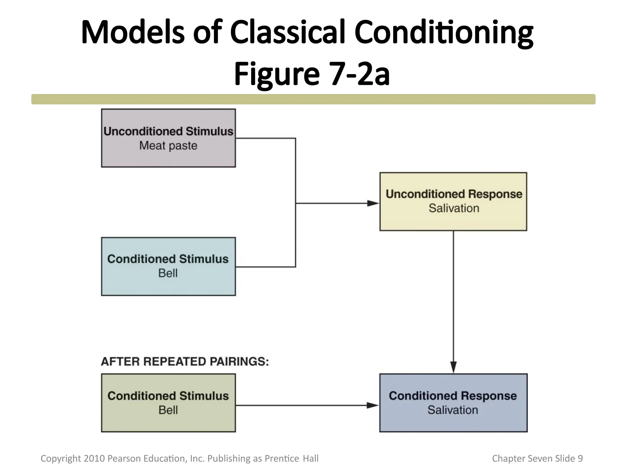 Models of Classical Conditioning
Figure 7-2a
Copyright 2010 Pearson Education, Inc. Publishing as Prentice Hall Chapter Seven Slide 9
 