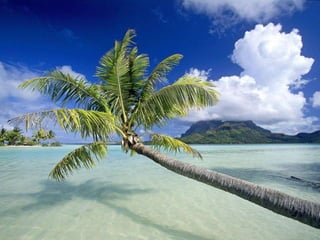 Solomon islands