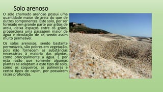 Solo arenoso
O solo chamado arenoso possui uma
quantidade maior de areia do que de
outros componentes. Este solo, por ser
formado em grande parte por grãos de
areia, deixa espaços entre os grãos,
proporciona uma passagem maior de
água e circulação de ar, sendo assim
muito permeável.
Os solos arenosos, sendo bastante
permeáveis, são pobres em vegetação,
pois não fornecem as substâncias
necessárias à maioria das plantas,
como principalmente a água. É por
esta razão que somente algumas
plantas se adaptam a este tipo de solo,
como os coqueiros, as palmeiras e
certos tipos de capim, por possuírem
raízes profundas.
 