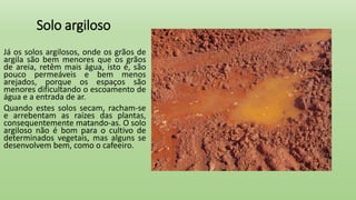 Solo argiloso
Já os solos argilosos, onde os grãos de
argila são bem menores que os grãos
de areia, retêm mais água, isto é, são
pouco permeáveis e bem menos
arejados, porque os espaços são
menores dificultando o escoamento de
água e a entrada de ar.
Quando estes solos secam, racham-se
e arrebentam as raízes das plantas,
consequentemente matando-as. O solo
argiloso não é bom para o cultivo de
determinados vegetais, mas alguns se
desenvolvem bem, como o cafeeiro.
 