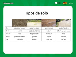 Tipos de solo
 