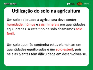 Utilização do solo na agricultura
Um solo adequado à agricultura deve conter
humidade, húmus e sais minerais em quantidades
equilibradas. A este tipo de solo chamamos solo
fértil.
Um solo que não contenha estes elementos em
quantidades equilibradas é um solo estéril, pois
nele as plantas têm dificuldade em desenvolver-se.
 