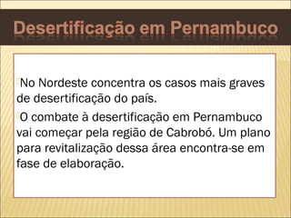 No

Nordeste concentra os casos mais graves
de desertificação do país.
O combate à desertificação em Pernambuco
vai começar pela região de Cabrobó. Um plano
para revitalização dessa área encontra-se em
fase de elaboração.

 