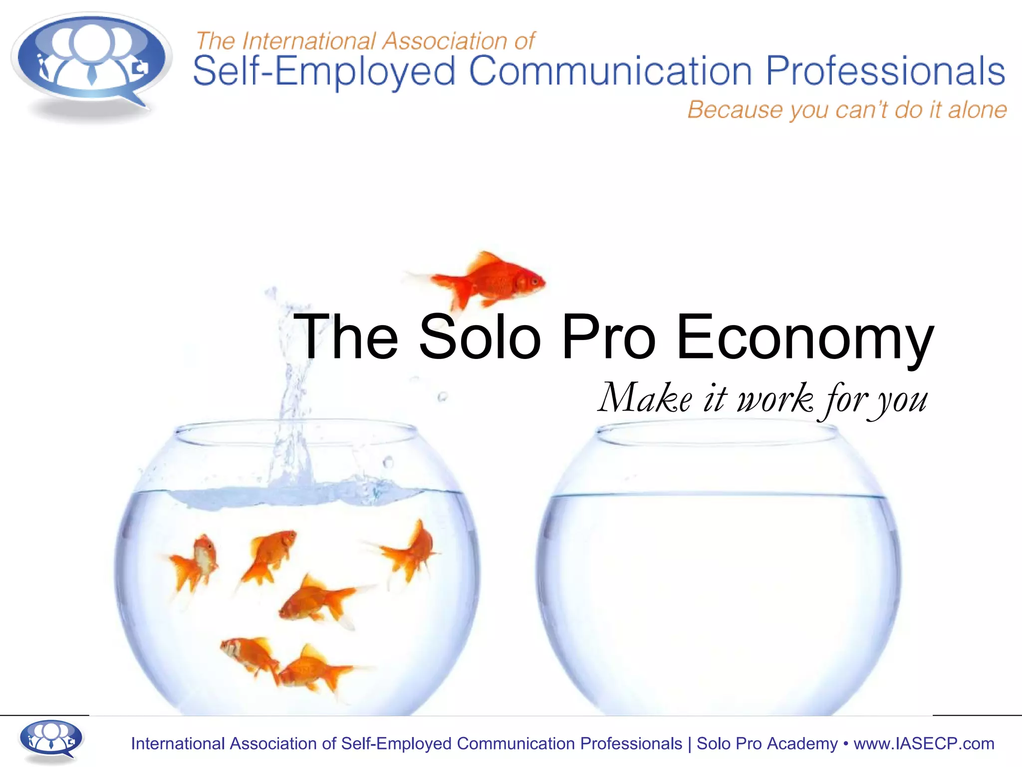 The Solo Pro Economy Make it work for you 