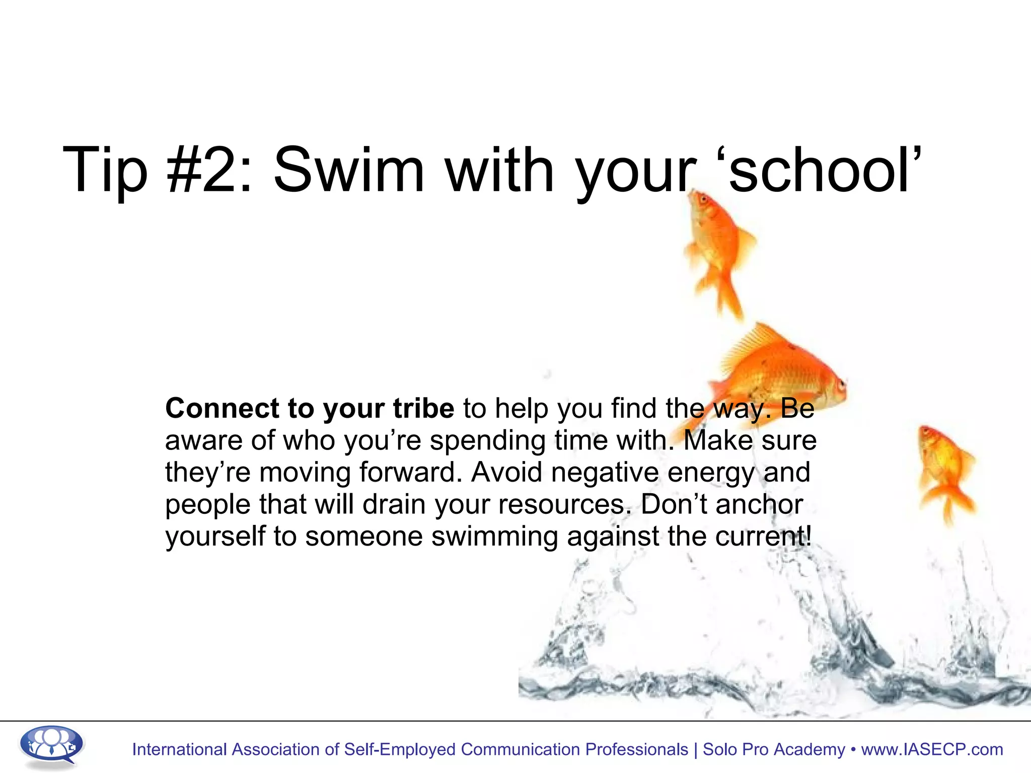 Tip #2: Swim with your ‘school’ Connect to your tribe  to help you find the way. Be aware of who you’re spending time with. Make sure they’re moving forward. Avoid negative energy and people that will drain your resources. Don’t anchor yourself to someone swimming against the current! 