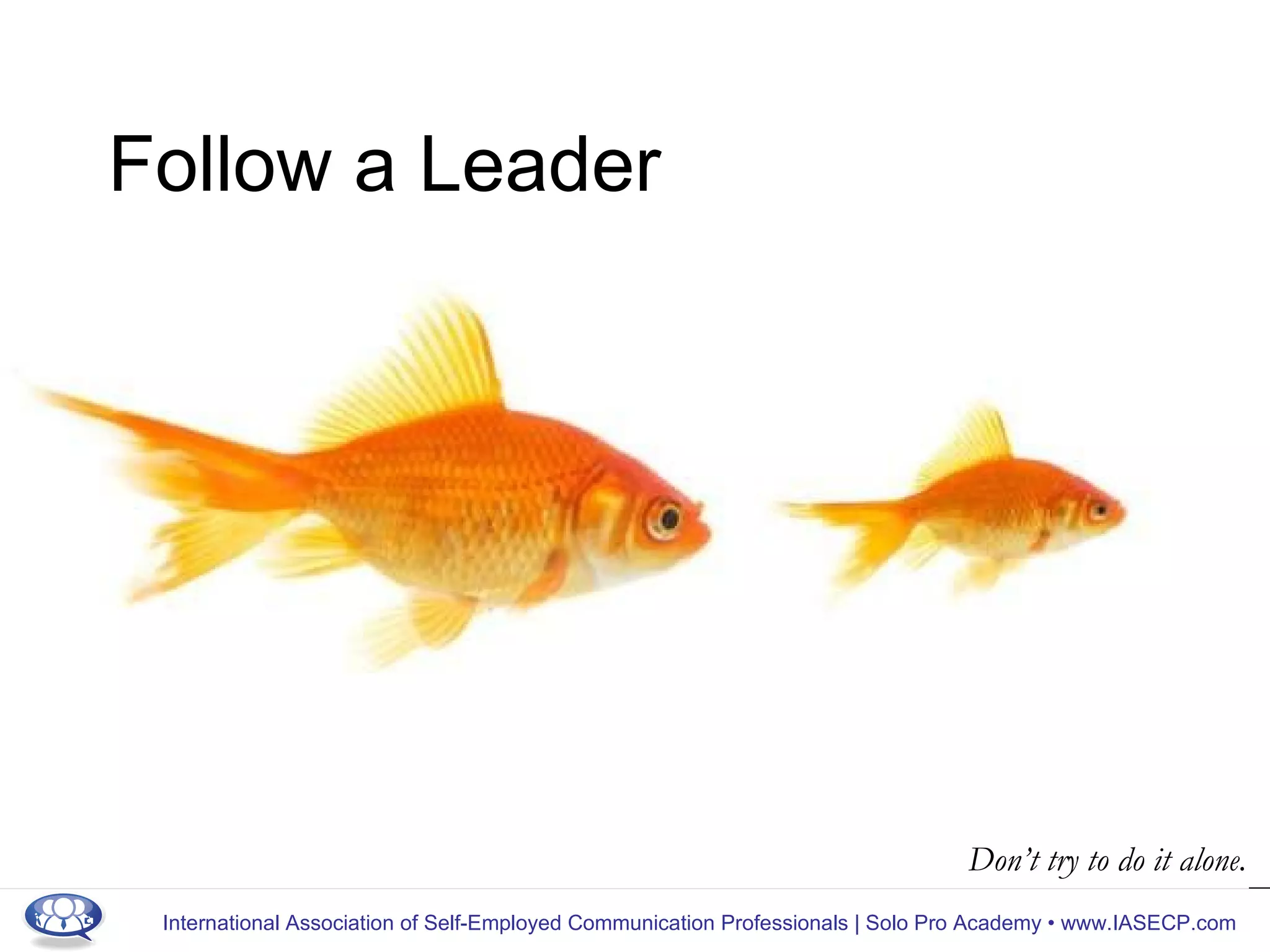 Follow a Leader Don’t try to do it alone. 