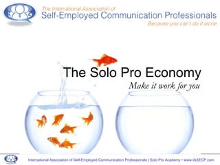 The Solo Pro Economy Make it work for you 
