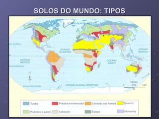 SOLOS DO MUNDO: TIPOS 