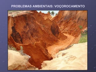 PROBLEMAS AMBIENTAIS: VOÇOROCAMENTO 