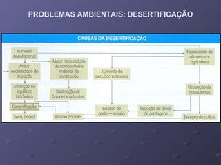 PROBLEMAS AMBIENTAIS: DESERTIFICAÇÃO 