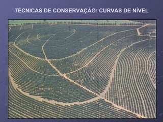 TÉCNICAS DE CONSERVAÇÃO: CURVAS DE NÍVEL 