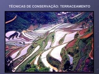 TÉCNICAS DE CONSERVAÇÃO: TERRACEAMENTO 