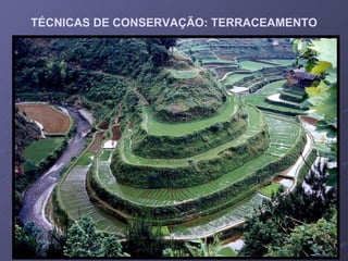 TÉCNICAS DE CONSERVAÇÃO: TERRACEAMENTO 