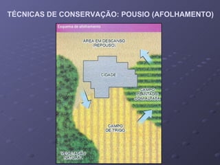 TÉCNICAS DE CONSERVAÇÃO: POUSIO (AFOLHAMENTO) 